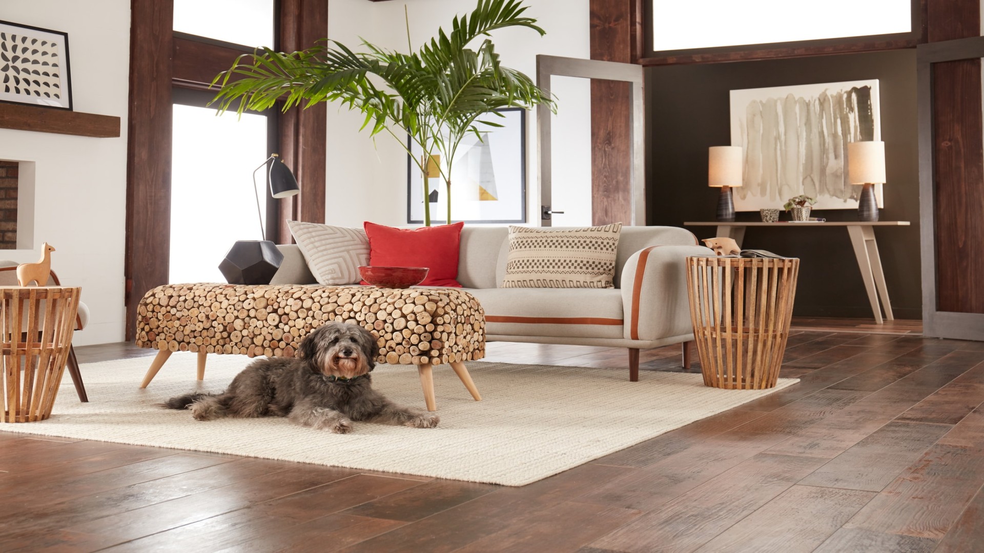 Dog resting on a area rug in a modern living room with hardwood floors